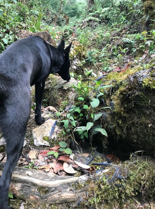 Cuentos y anécdotas en idioma chorti'