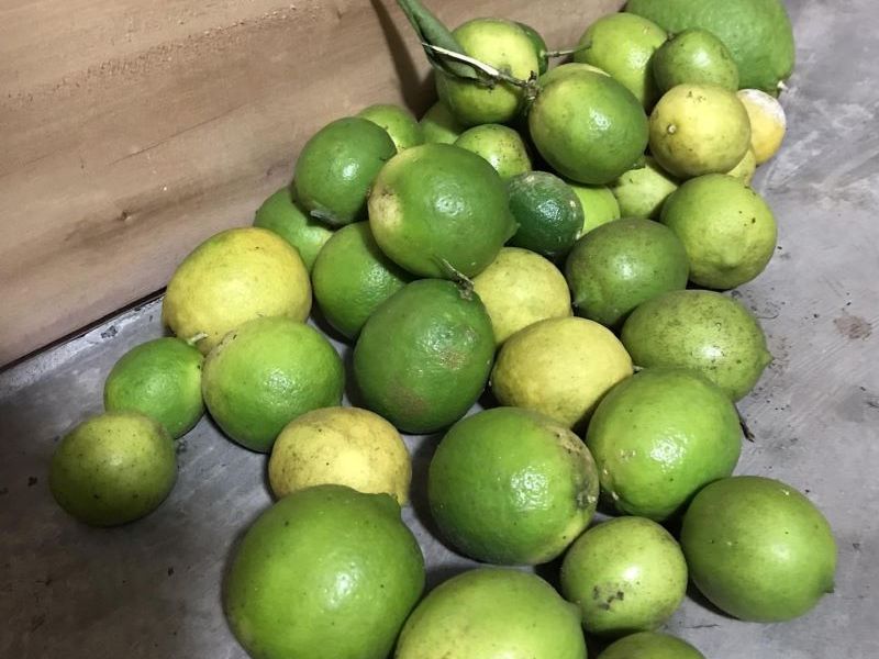 Nombres de frutas en q’anjob’al