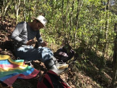 Los 10 verbos más comunes en&nbsp;español