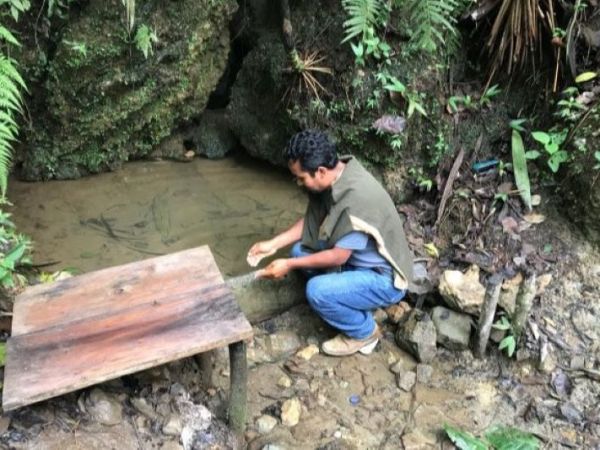 30 ejemplos de verbos en&nbsp;español