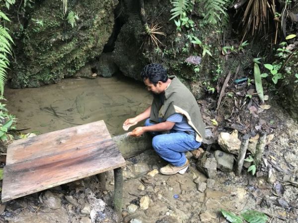 50 ejemplos de verbos en&nbsp;español