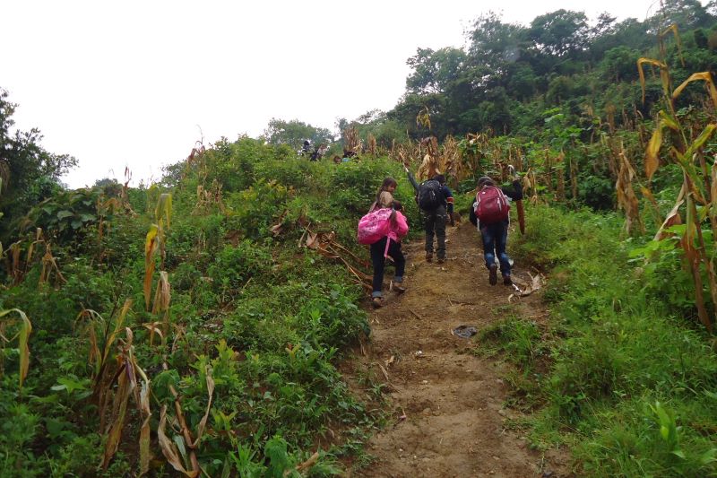 Estudiantes en milpa Barillas. Aprende Q'anjob'al, pasado MAX